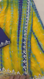 Chinnon saree