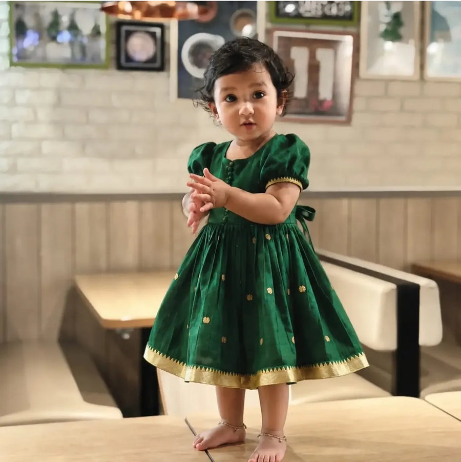 Narayan pet