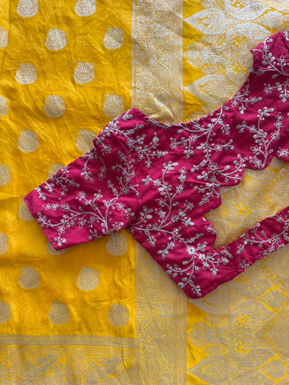 Banarasi stain pattu saree